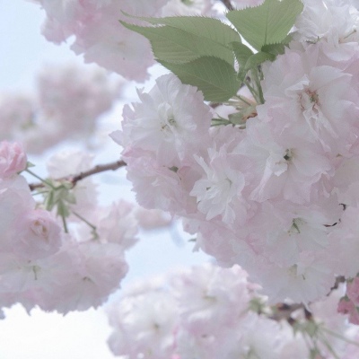 五家渠福瑞交流群